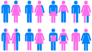 gender politics