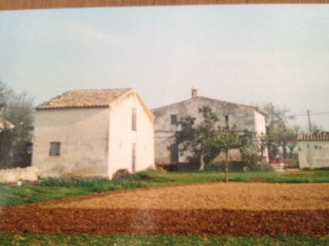 Kay Newton Can Jaume 1983