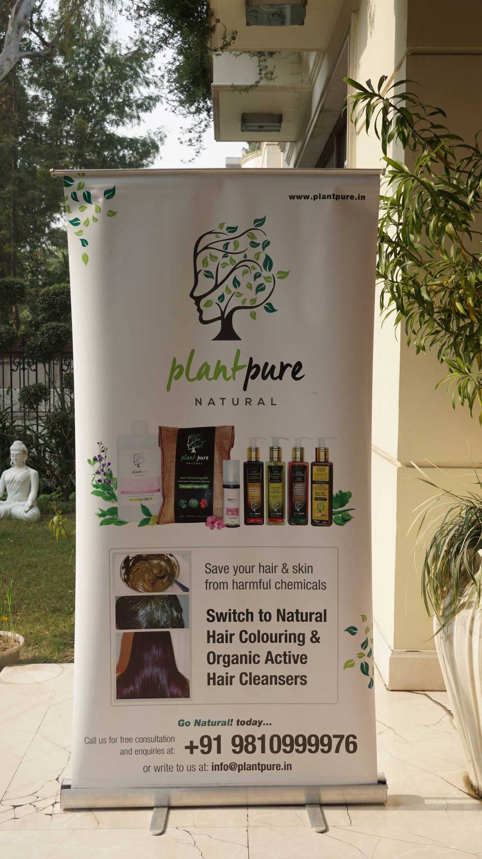 shine-your-light-plant-pure