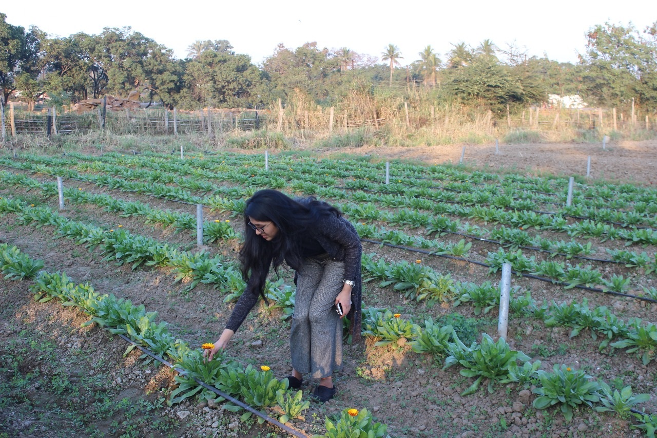 Shubhika in a calendula field.jpg