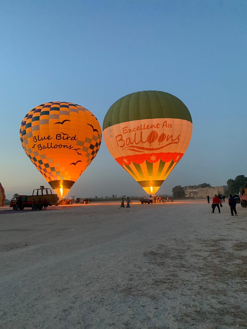 Egypt hot air balloons.jpg