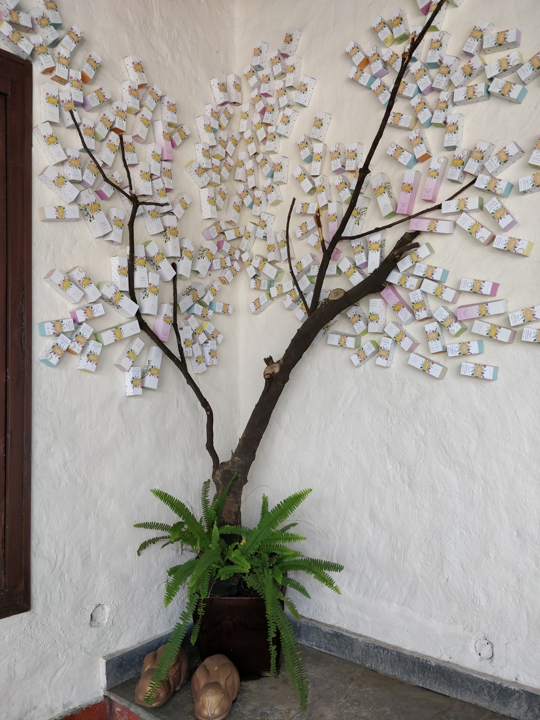 Sangeeta-Jain-Ras-Tree