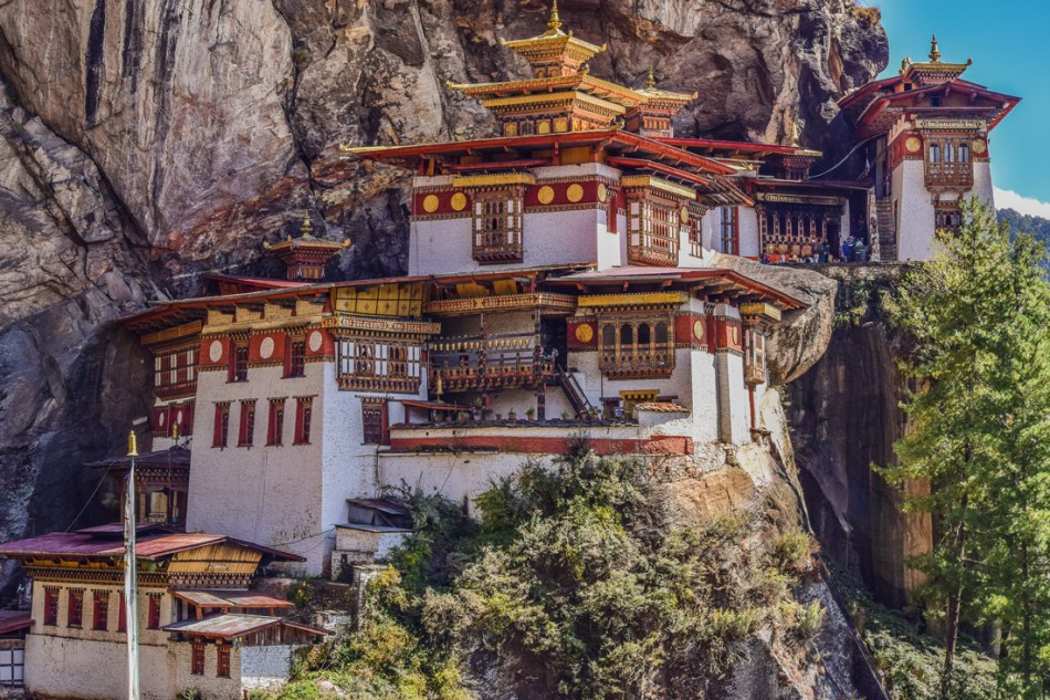 Bhutan-tigers-nest