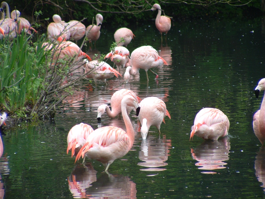Travel - Dublin zoo