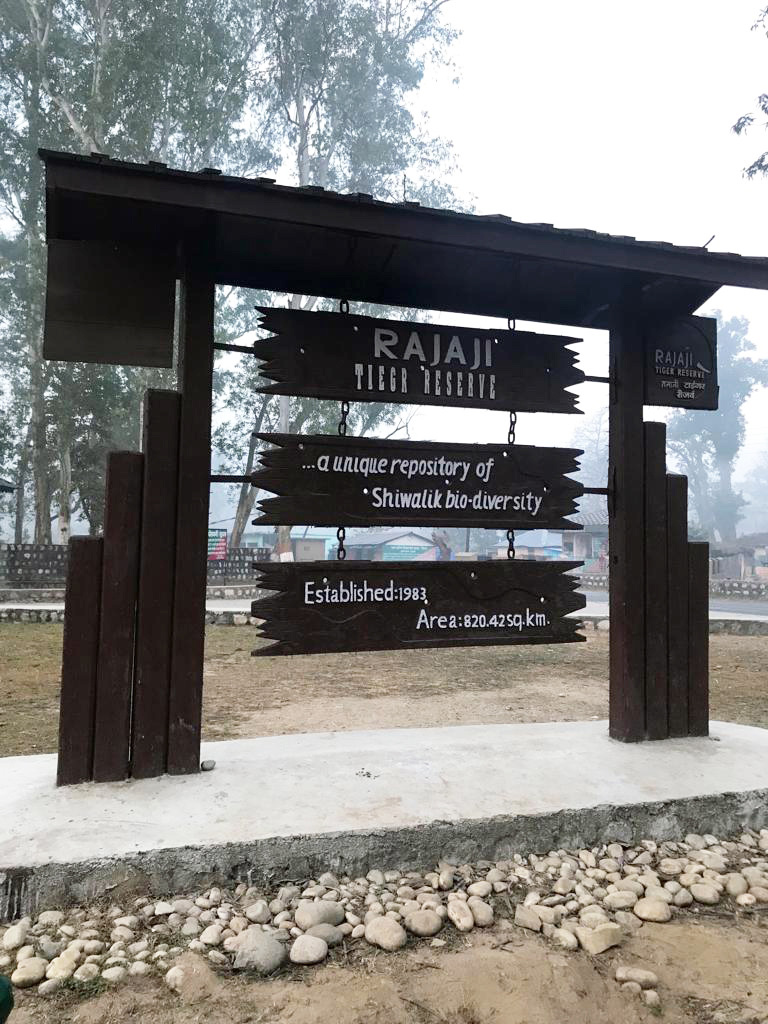 Travel---Rishikesh-tiger-reserve