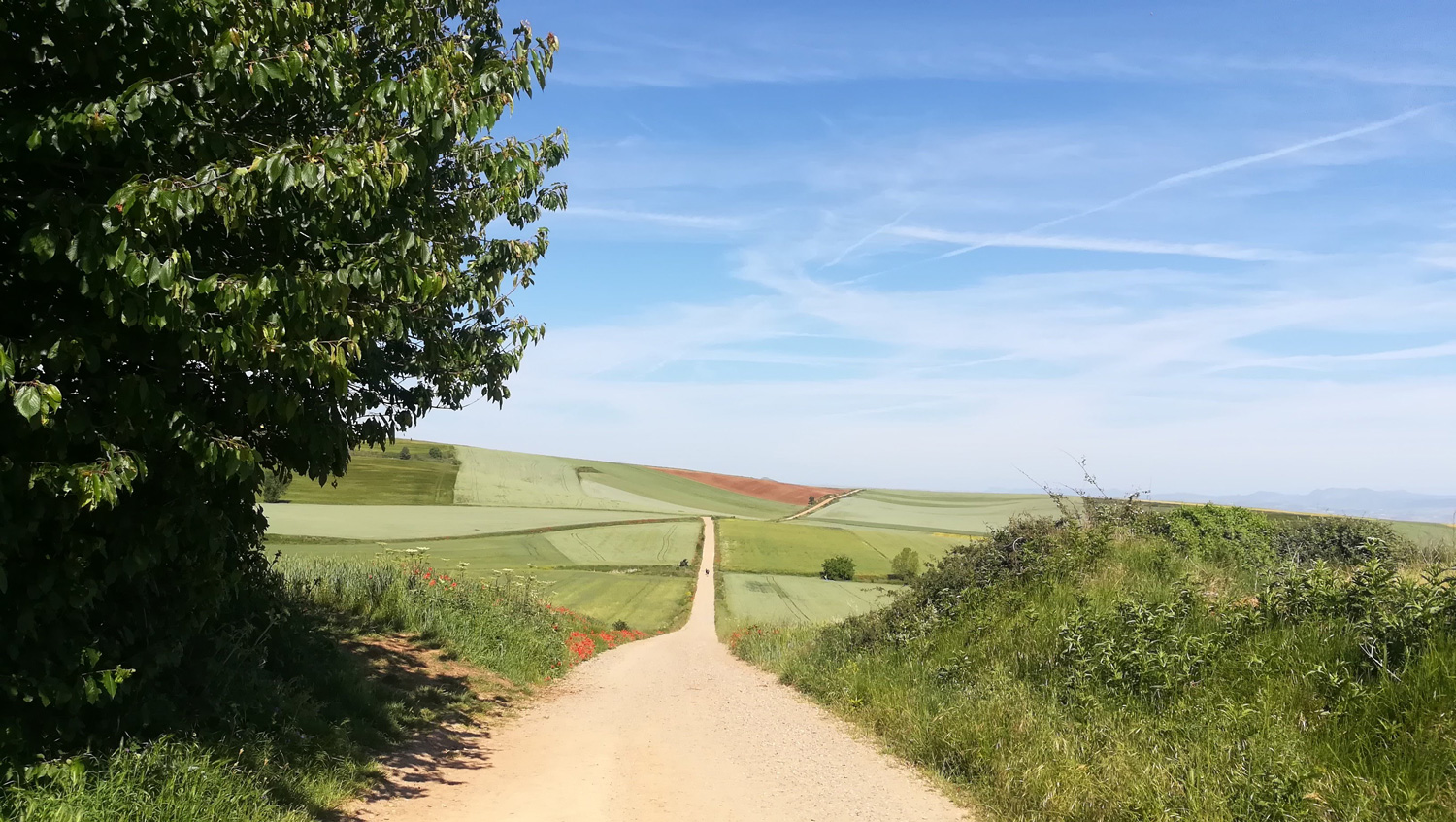 Camino-de-Santiago5-eshe