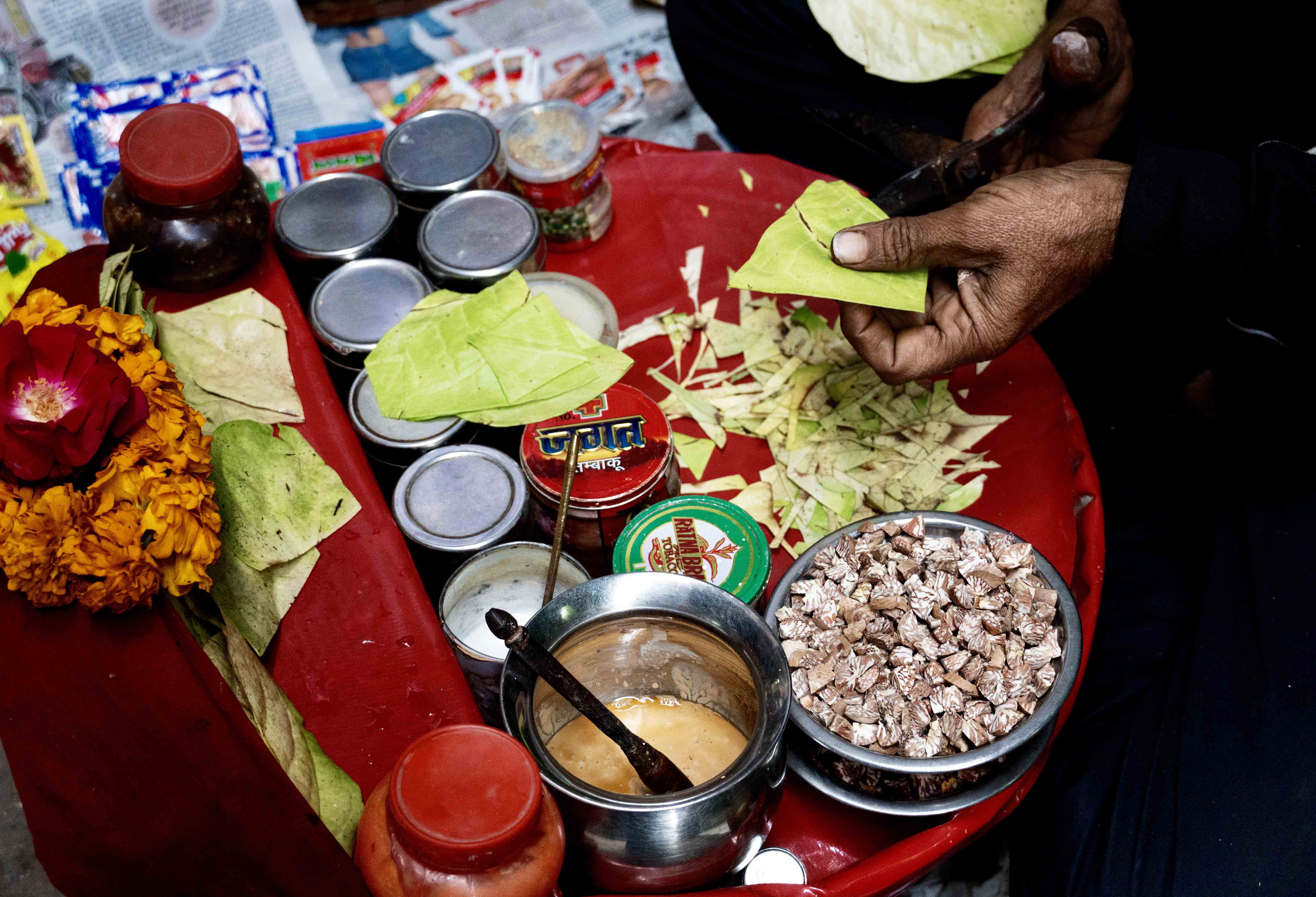 Chandni Chowk (4)